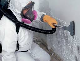 Best Commercial Mold Inspection  in Waterloo, WI